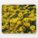 Crown Daisies / Chrysanthemum Coronarium mousepads