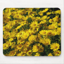 Crown Daisies / Chrysanthemum Coronarium mousepads by artberry Crown Daisies / Chrysanthemum Coronarium mousepads