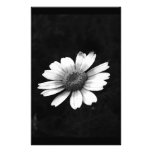 Crown Daisy Customized Stationery