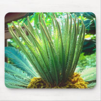 Crown of Ferns Mousepad