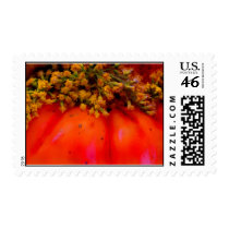 CROWN OF GOLD  postage