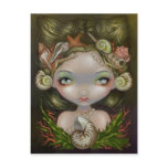 "Crown of Shells" Postcard