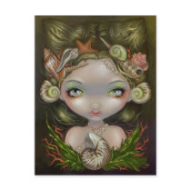 "Crown of Shells" Postcard