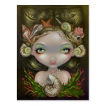"Crown of Shells" Postcard postcards