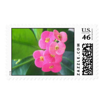Crown Of Thorns postage by Augie_Designs Crown Of Thorns postage