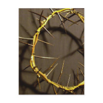 Crown of Thorns Postcard by Bro_Jones Crown of Thorns Postcard