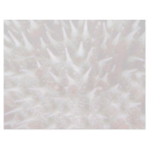 Crown of thorns starfish letterhead template