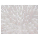 Crown of thorns starfish letterhead template