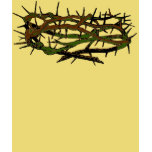 Crown of Thorns Tee Shirts