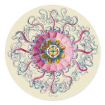 Crown or Helmet Jellyfish Round Sticker