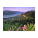 Crown Point, Columbia River Gorge, Oregon Postcard