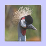 Crowned Crane Magnet magnets