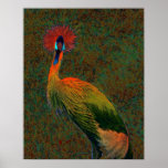 crowned crane print