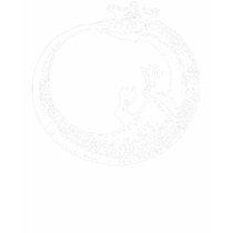 Crowned Ouroboros t-shirts by SpiritAlchemy Crowned Ouroboros t-shirts