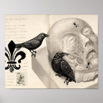 Crows and corpse print