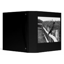 Crows binders