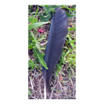 Crows Feather Photo Card photo cards