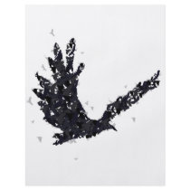 crows flyers