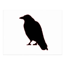 Crows Gossip Postcards