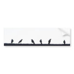 Crows in a line bumper stickers