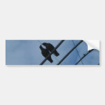 Crows in Luv Bumbersticker Bumper Sticker