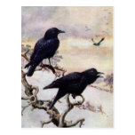 Crows in Winter Vintage Illustration Post Card