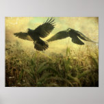 Crows Of The Corn Poster