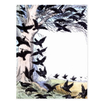 Crows Postcards