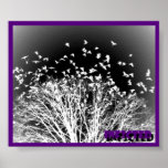 Crows Poster posters