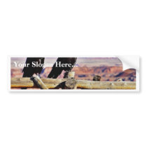 Crows Ravens Birds Black bumper stickers by lifesphere Crows Ravens Birds Black bumper stickers