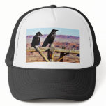 Crows Ravens Birds Black hats