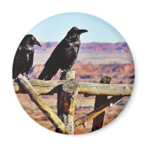 Crows Ravens Birds Black magnets by lifesphere Crows Ravens Birds Black magnets