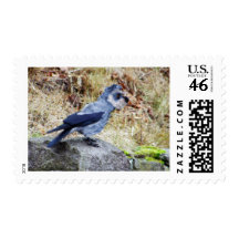 Crowschnauzer Postage