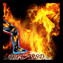 CRPS RSD My World's A Blaze Globe posters