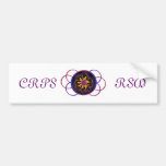 CRPS/RSD Rainbow Blaze Bumper Sticker