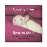 Cruelty Free Magnets
