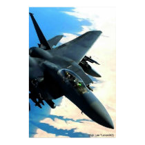 CRUISE CONTROL posters