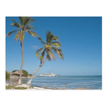 Cruise Ships in Costa Maya Post Cards
