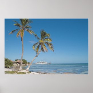 Cruise Ships in Costa Maya Poster