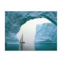 Cruising Antarctica postcards