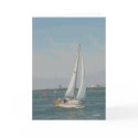 Cruising -- blank card by BlarneyCards Cruising -- blank card