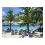 Cruising Postcard