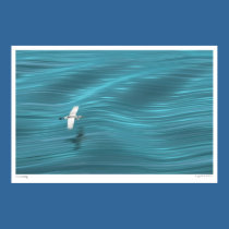 Cruising posters