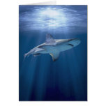 Cruising Shark Greeting Cards