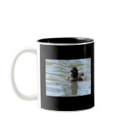 Cruising Tufted Duck mug