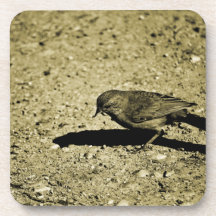 Crumbless.png Beverage Coaster