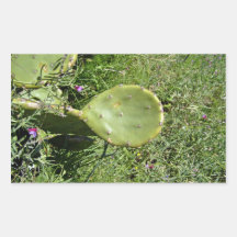 Crunchy Nopal texture Sticker