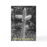 Crusifiction Cactus, Merry Christmas Greeting Card