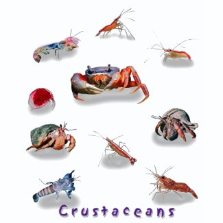 Crustaceans shirt