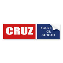 CRUZ 2012 BUMPER STICKERS